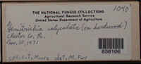 Image Associated With the Occurence